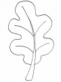 leaf3.jpg