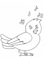 bird-song.jpg