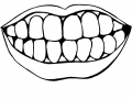 dental1.jpg