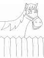 horse10.jpg