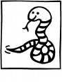 snake8.jpg